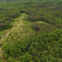 252 Acres in Chester County TN images 5
