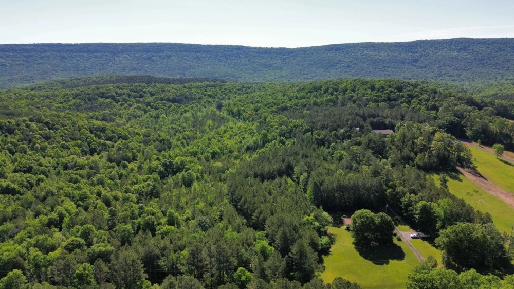 35 Acres in Walker County GA featured image
