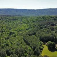 35 Acres in Walker County GA