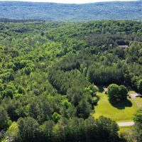 35 Acres in Walker County GA images 3