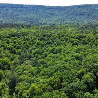 35 Acres in Walker County GA images 4