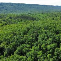 35 Acres in Walker County GA images 5