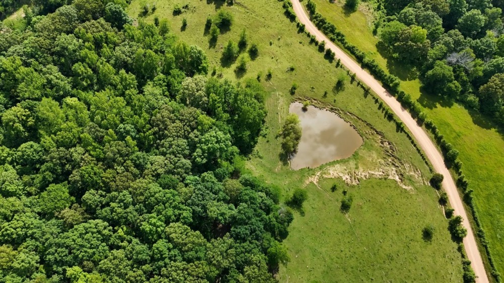45 Acres in Panola County MS featured image