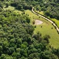 45 Acres in Panola County MS images 3