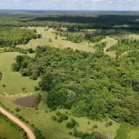 45 Acres in Panola County MS images 4