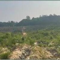 94.8 Acres in Carroll County in Carrollton MS images 3