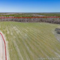 97.63 Acres in Hazlehurst GA images 2