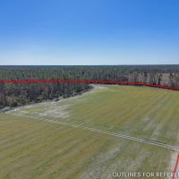 97.63 Acres in Hazlehurst GA images 3