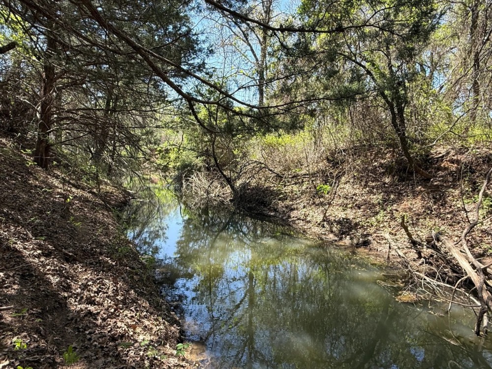 21 - Acres with Ritchie Creek featured image