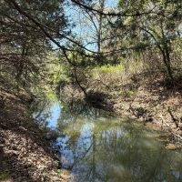 21 - Acres with Ritchie Creek