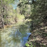21 - Acres with Ritchie Creek images 2