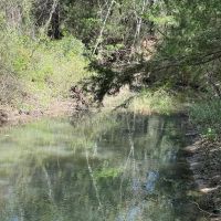 21 - Acres with Ritchie Creek images 4