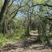 21 - Acres with Ritchie Creek images 5