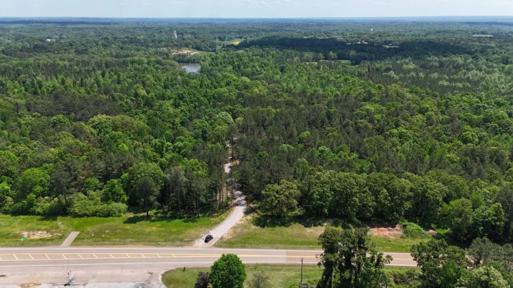109.56 Acres in Hardeman County TN featured image