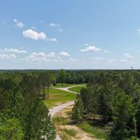 109.56 Acres in Hardeman County TN images 2
