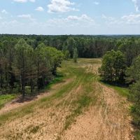 109.56 Acres in Hardeman County TN images 3