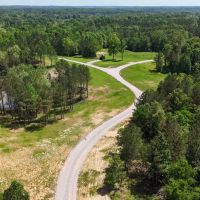 109.56 Acres in Hardeman County TN images 4
