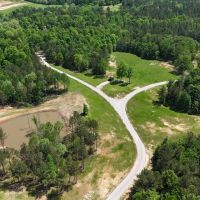 109.56 Acres in Hardeman County TN images 5