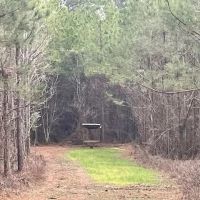 Camp and 18.19 Acres images 3
