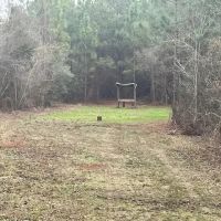 Camp and 18.19 Acres images 4