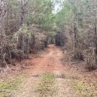Camp and 18.19 Acres images 5