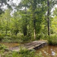 200 acres Montgomery Co. images 2