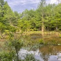 200 acres Montgomery Co. images 3
