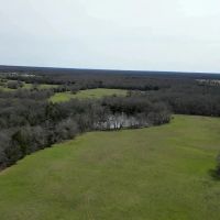 174 Acres Hunting Recreation Ranch in Cumby TX images 3