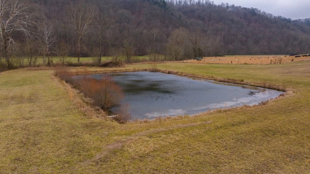 East Tennessee Farm for Sale 74.83 Acres in Greene County featured image