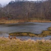 East Tennessee Farm for Sale 74.83 Acres in Greene County images 2