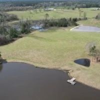315 Acres in Jasper County in Pachuta MS