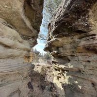 Pine Butte Ranch images 3