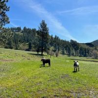 Perry Mill Ranch images 2