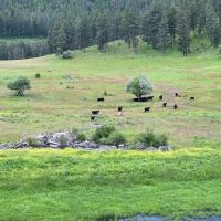 Perry Mill Ranch images 5