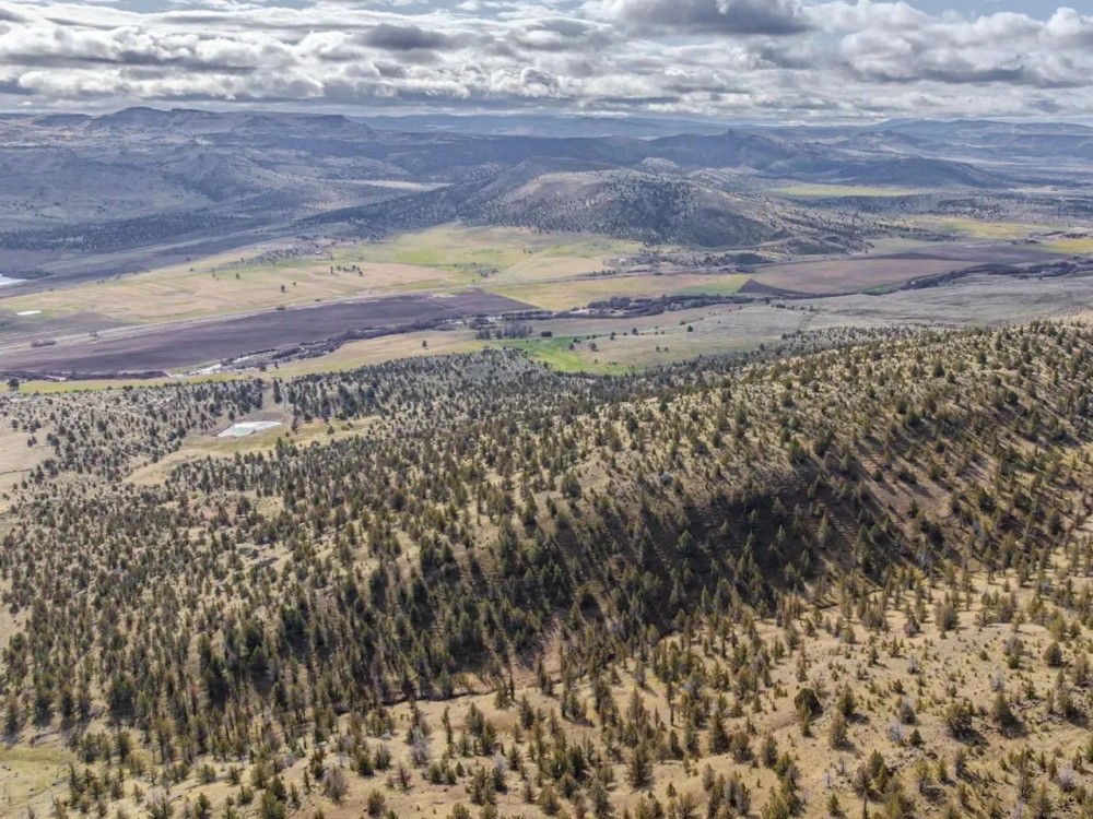 Criterion Ranch featured image