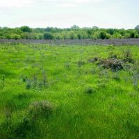 156 Cattle Ranch with Lake images 3