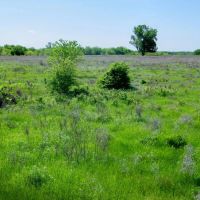 156 Cattle Ranch with Lake images 4
