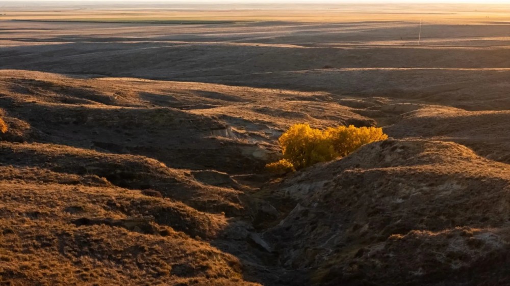 Richardson Ranch at Orchard featured image
