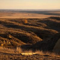 Richardson Ranch at Orchard images 4