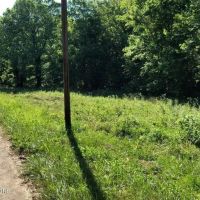 Untouched 44 acre gem in Grainger County Thorn Hill images 2