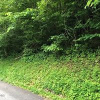 Untouched 44 acre gem in Grainger County Thorn Hill images 4