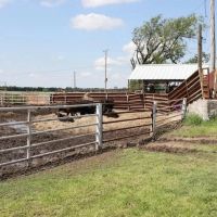 Rolling Pastures Ranch-Cow and Stocker Operation 3005 acres images 2