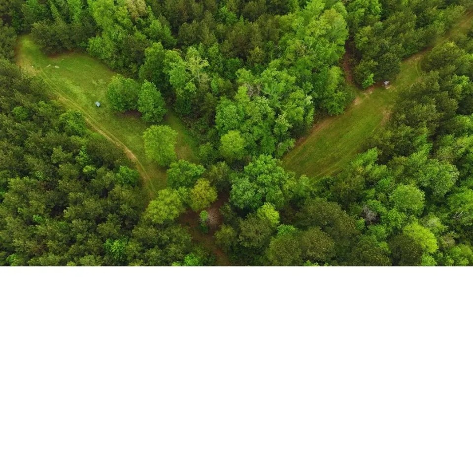 160 Acres in Lauderdale County in Lauderdale MS featured image