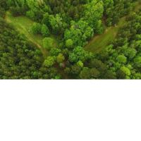 160 Acres in Lauderdale County in Lauderdale MS images 1
