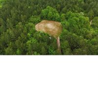 160 Acres in Lauderdale County in Lauderdale MS images 2