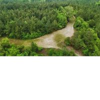 160 Acres in Lauderdale County in Lauderdale MS images 3