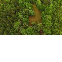 160 Acres in Lauderdale County in Lauderdale MS images 4