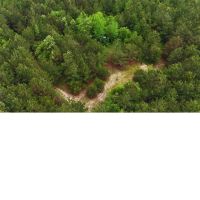 160 Acres in Lauderdale County in Lauderdale MS images 5