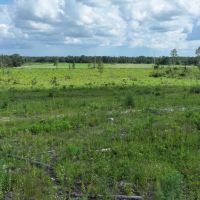 Graceville Longview Farm images 4