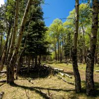 Bonito Canyon Ranch images 3